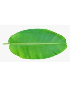 Banana Leaf 3pc