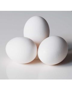 White Eggs 6pc